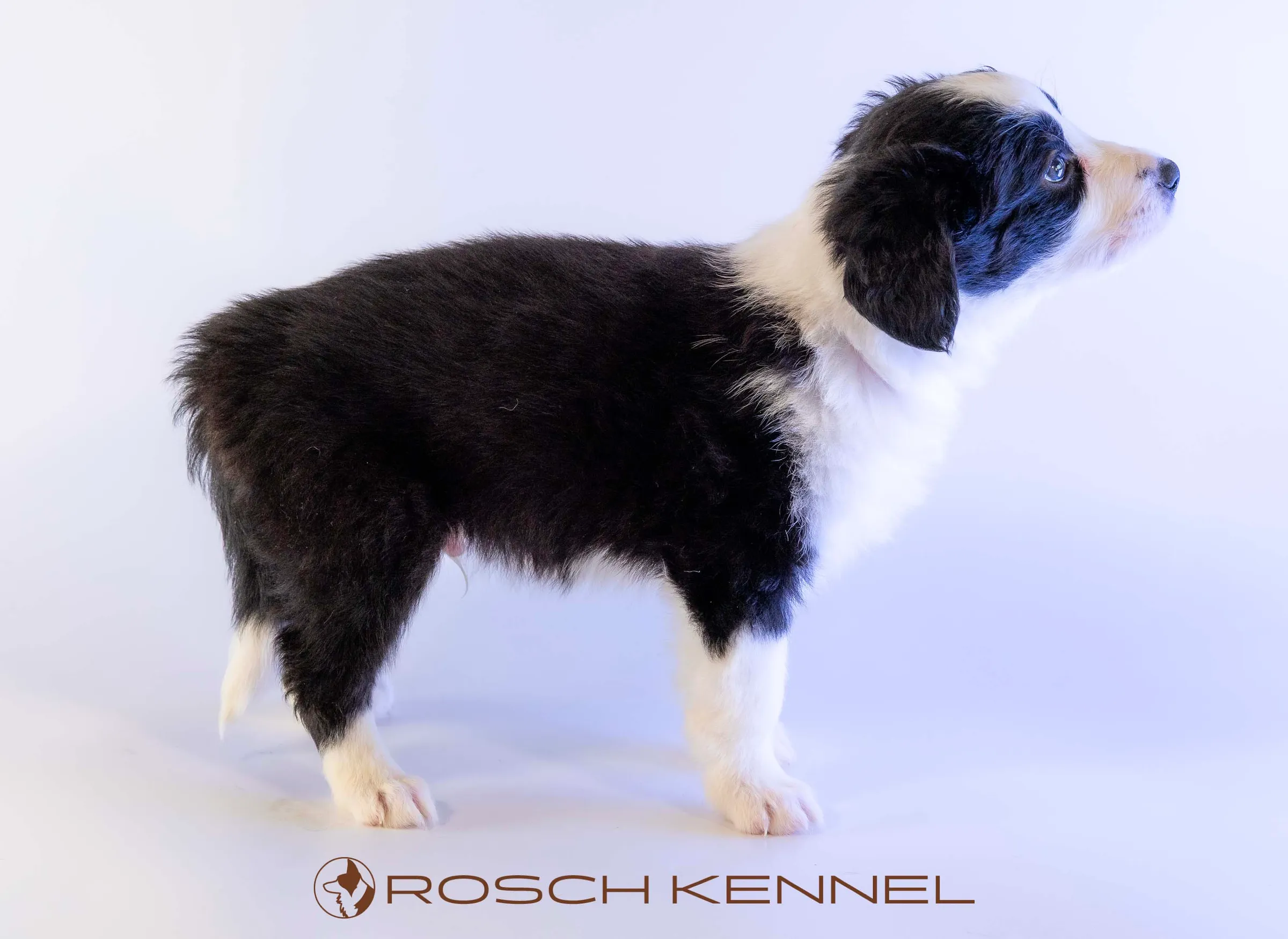 CNE301CPR - Photo 10