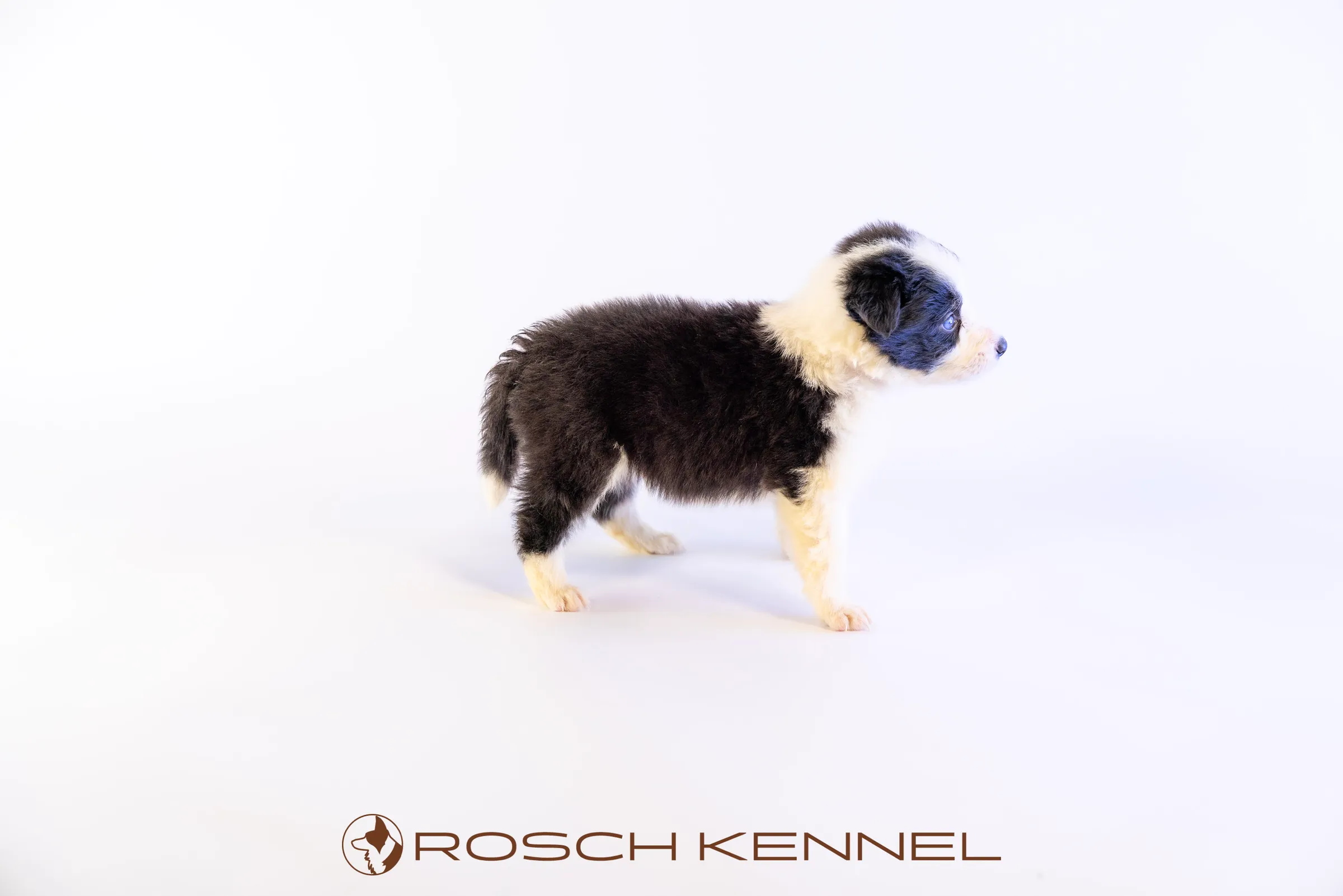 RSE302CPR - Photo 11