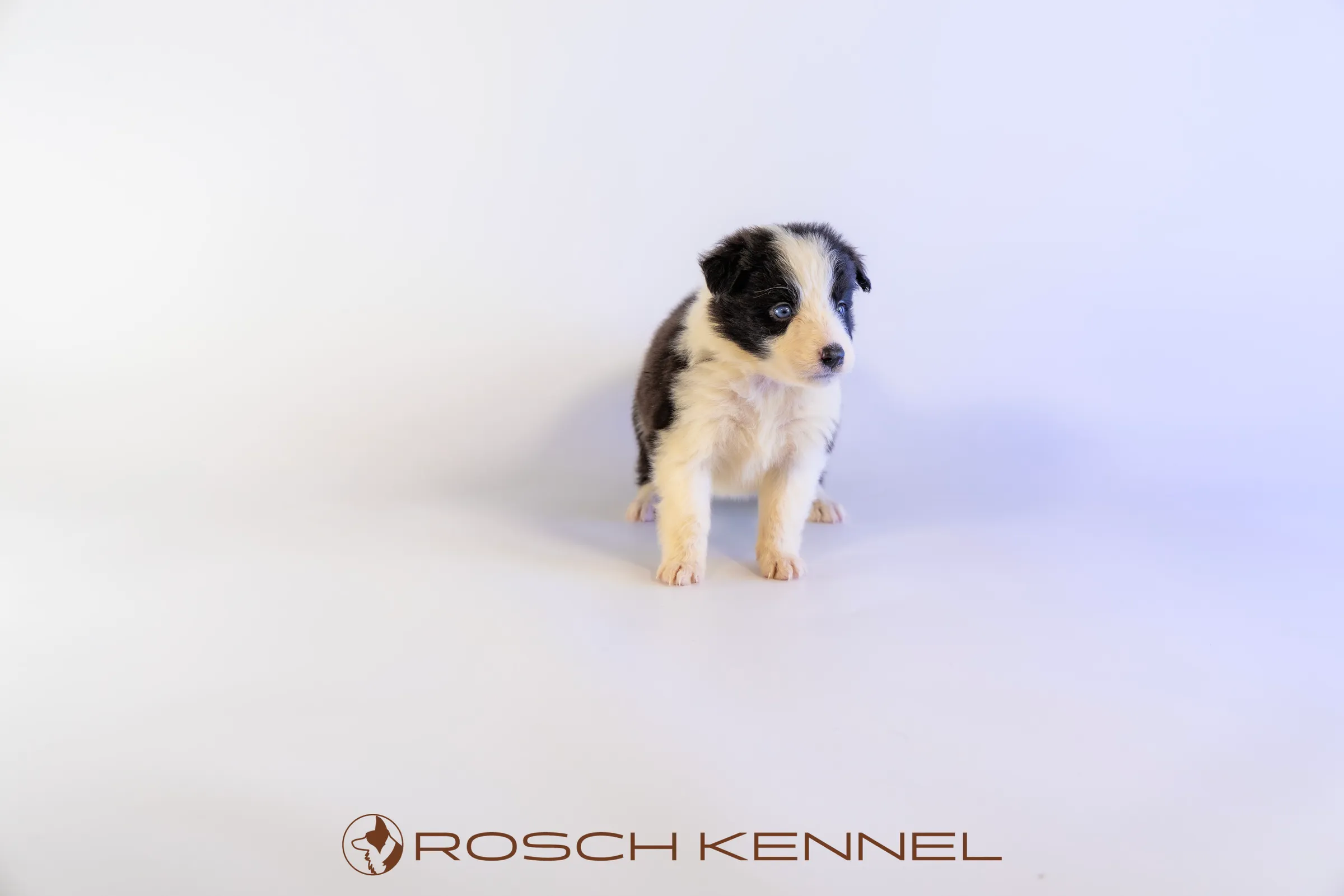 RSE302CPR - Photo 12