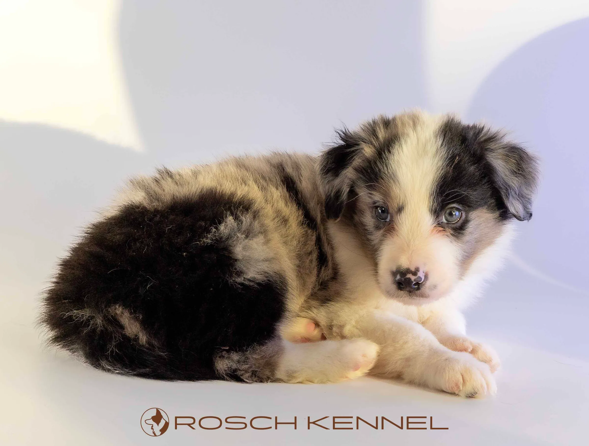 CNE302CPR - Photo 12