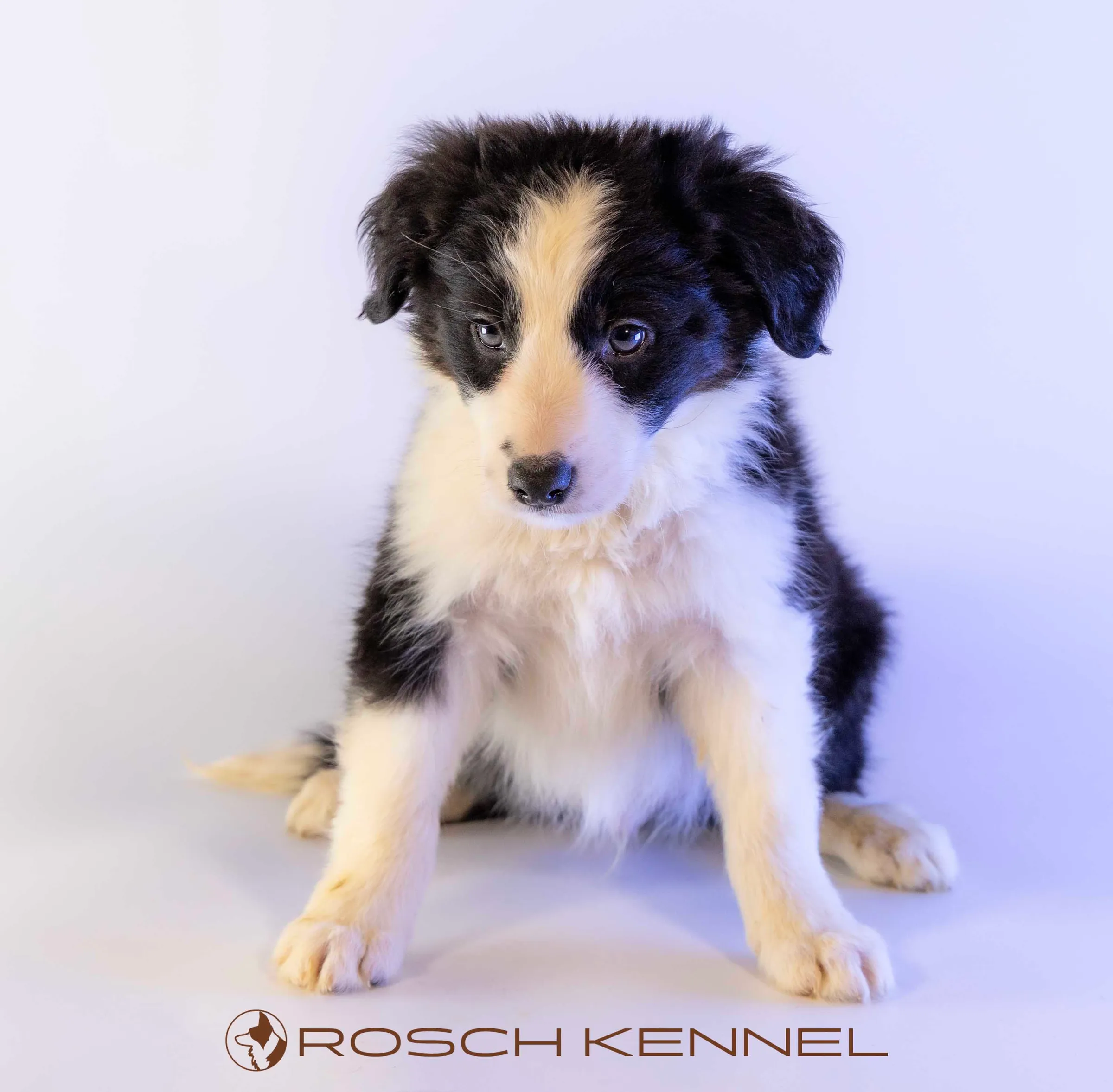 CNE301CPR - Photo 12