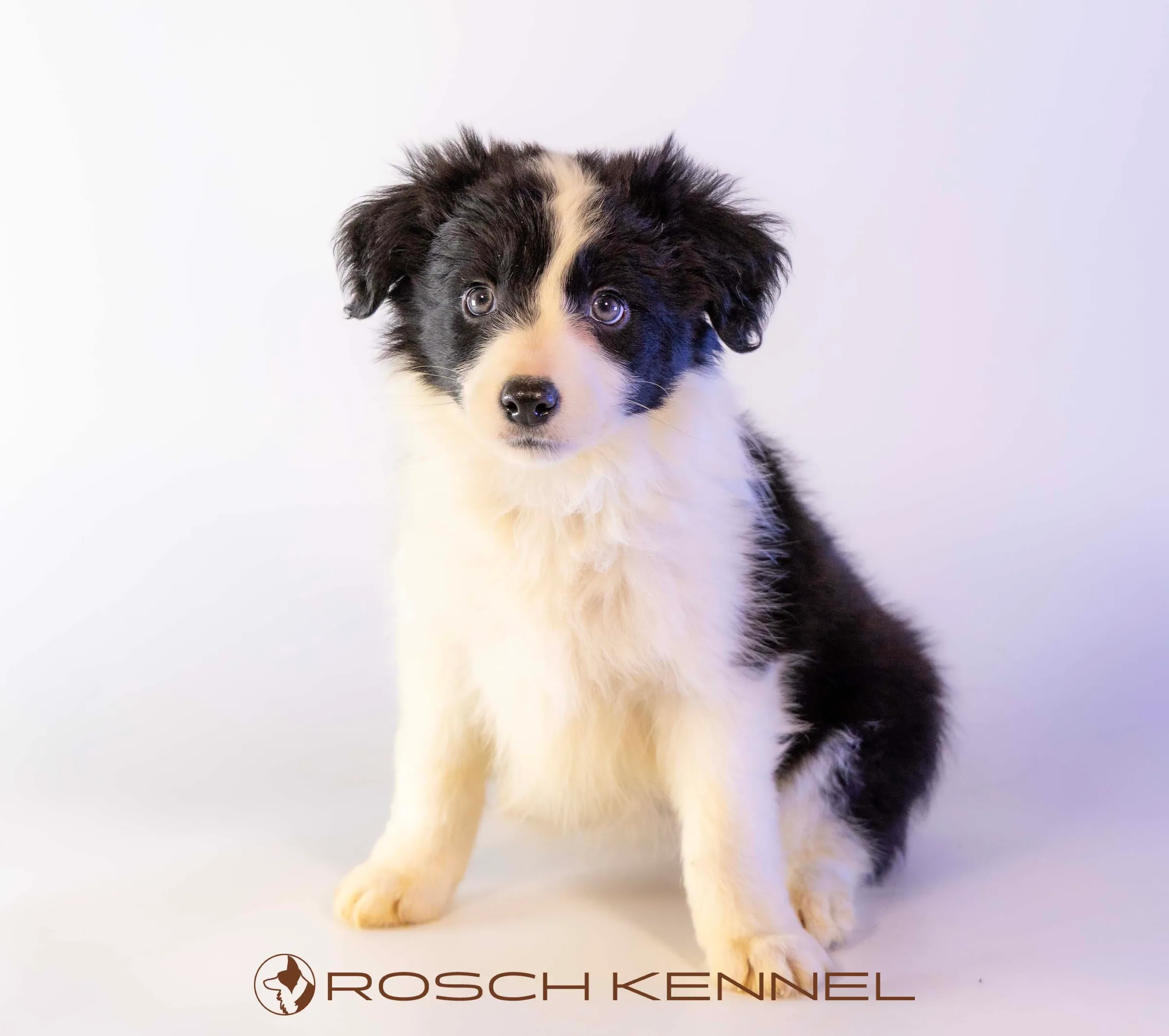 CNE305CPR - Photo 13