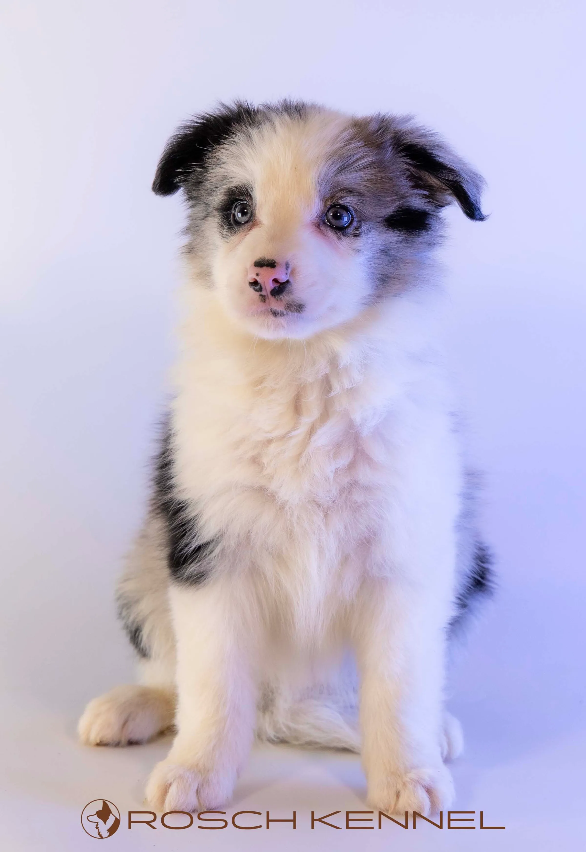 CNE304CPR - Photo 13