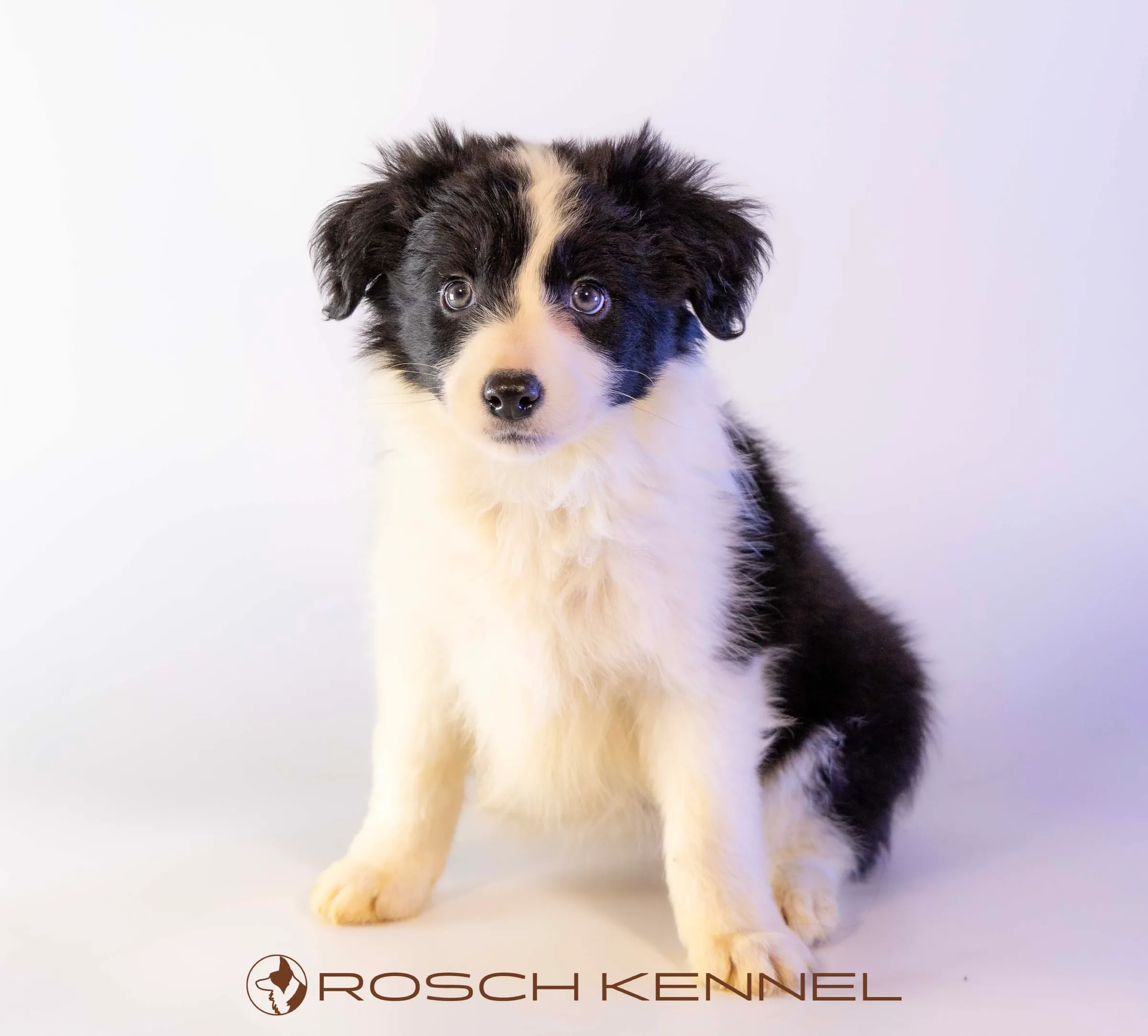 CNE305CPR - Photo 14