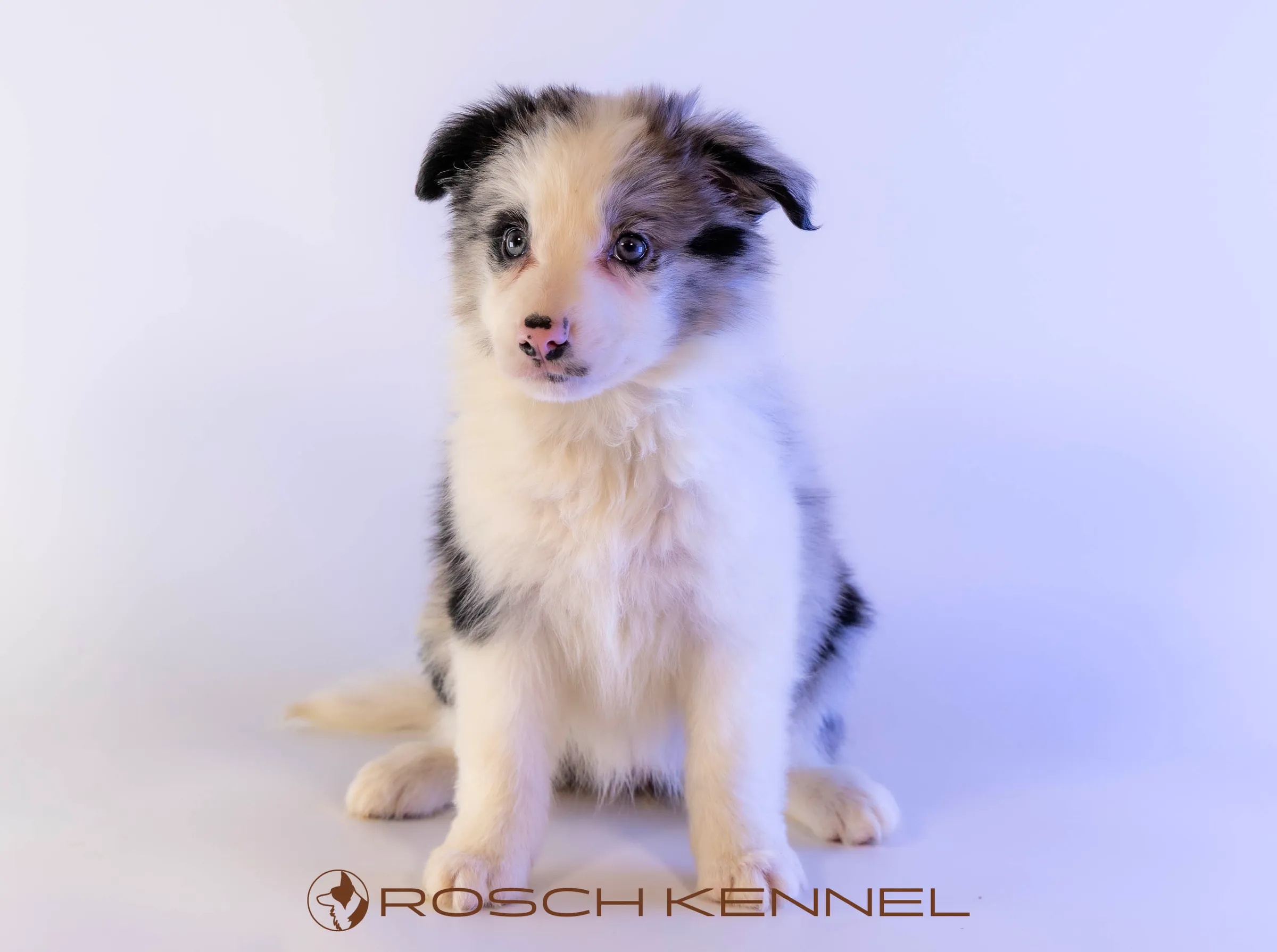 CNE304CPR - Photo 14