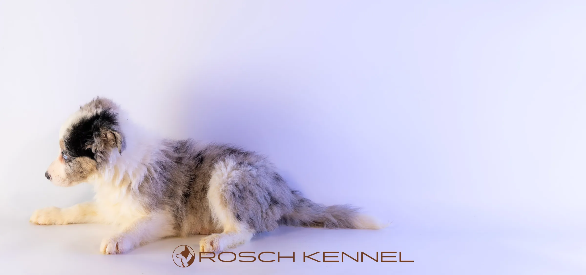 CNE303CPR - Photo 15