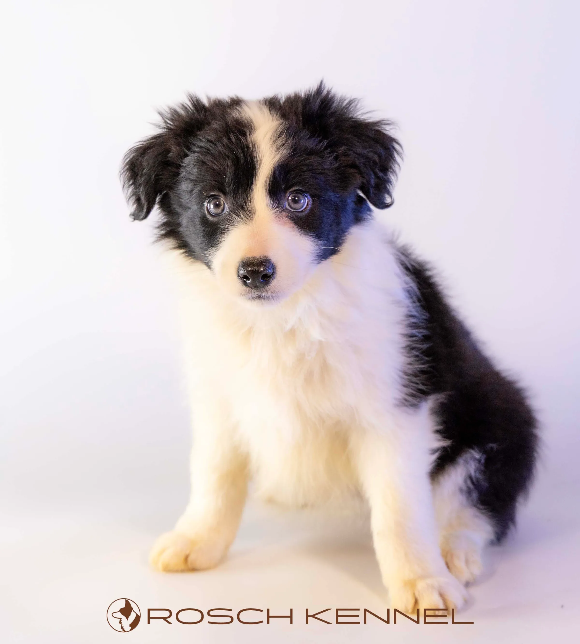 CNE305CPR - Photo 15