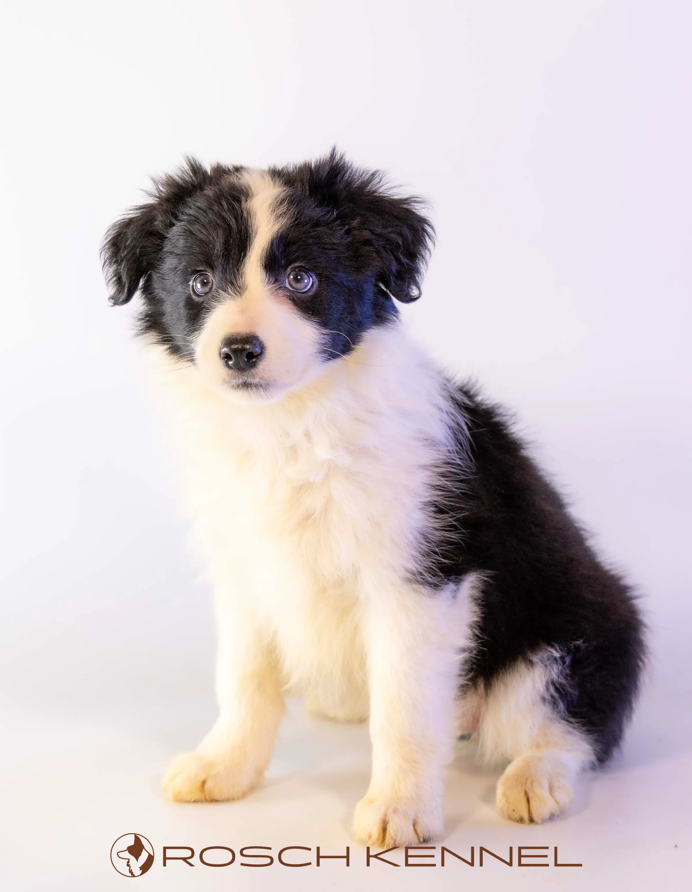 CNE305CPR - Photo 16