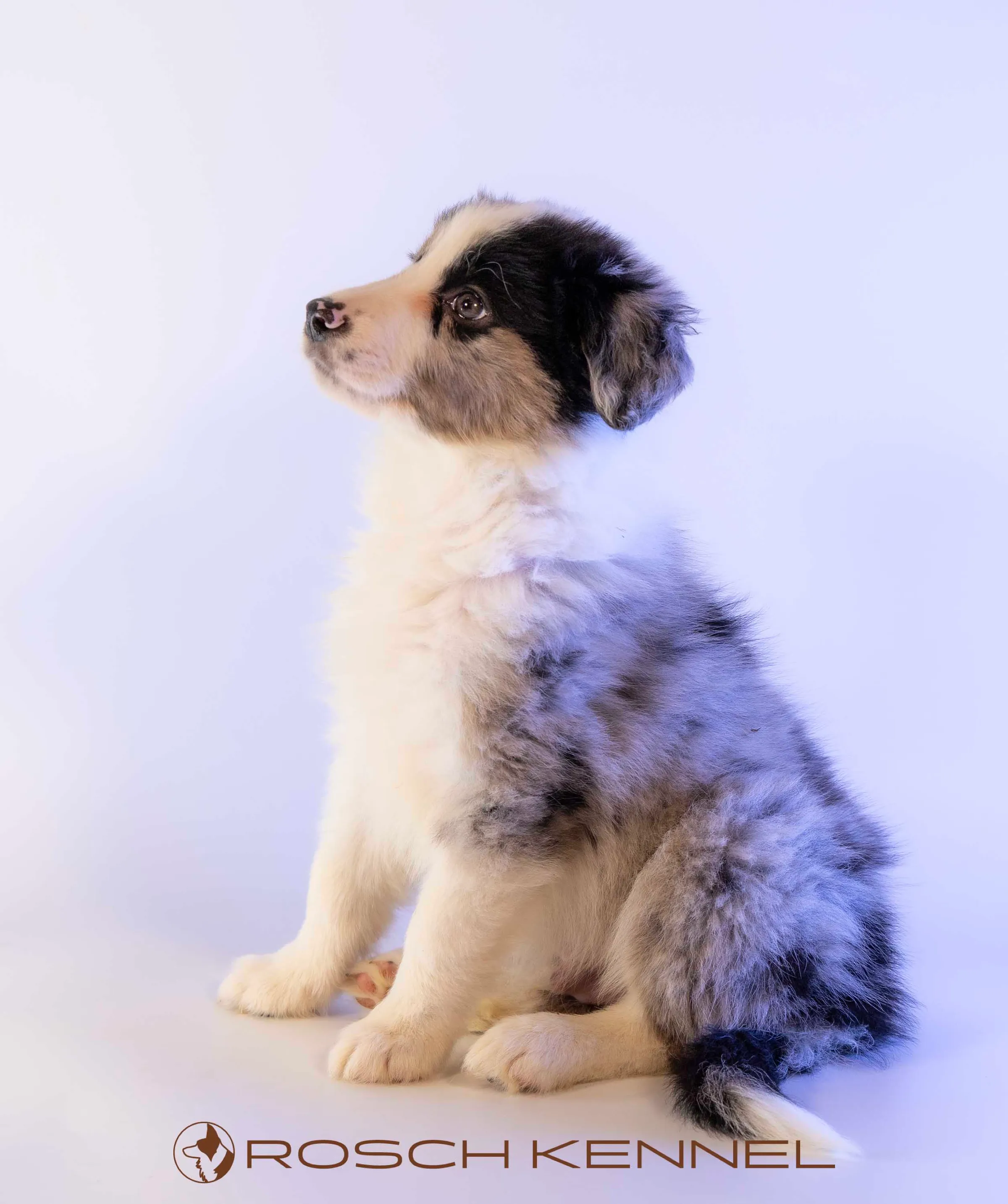 CNE302CPR - Photo 17