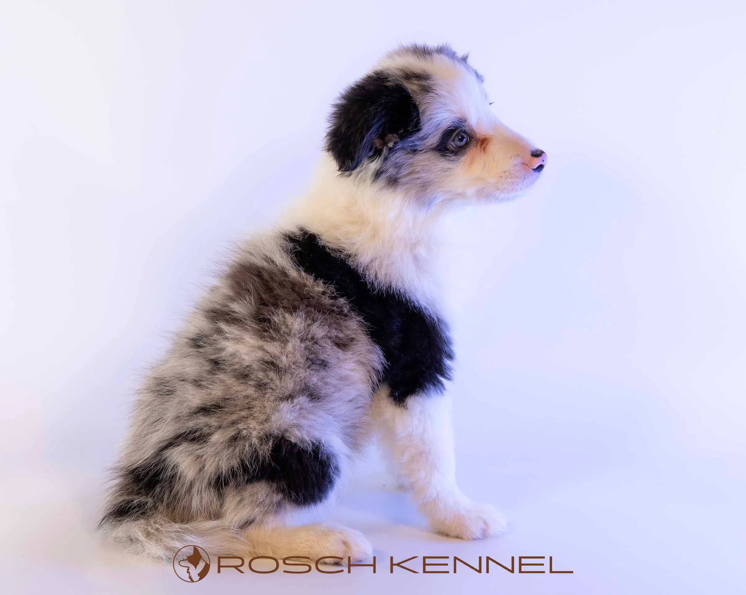 CNE304CPR - Photo 17