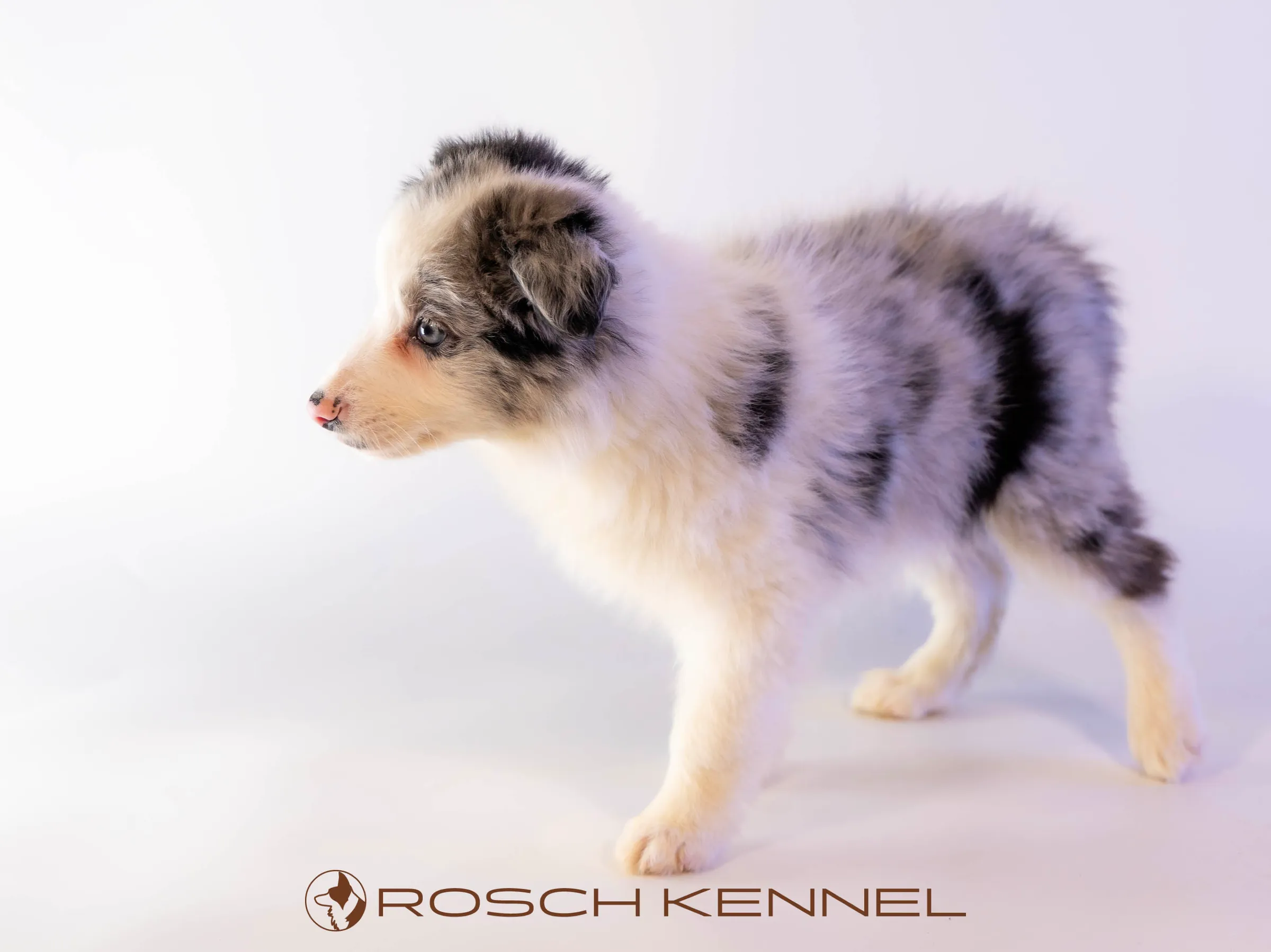 CNE304CPR - Photo 18