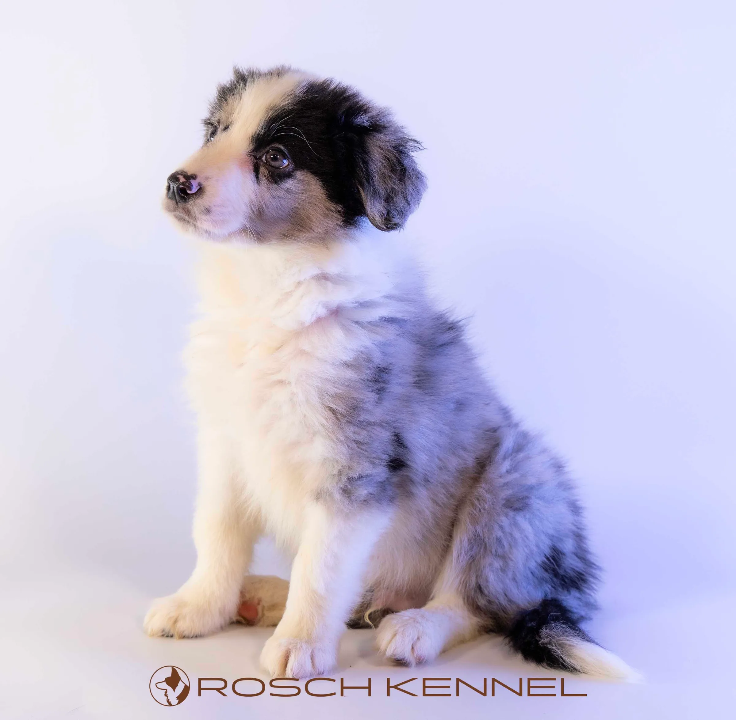 CNE302CPR - Photo 19