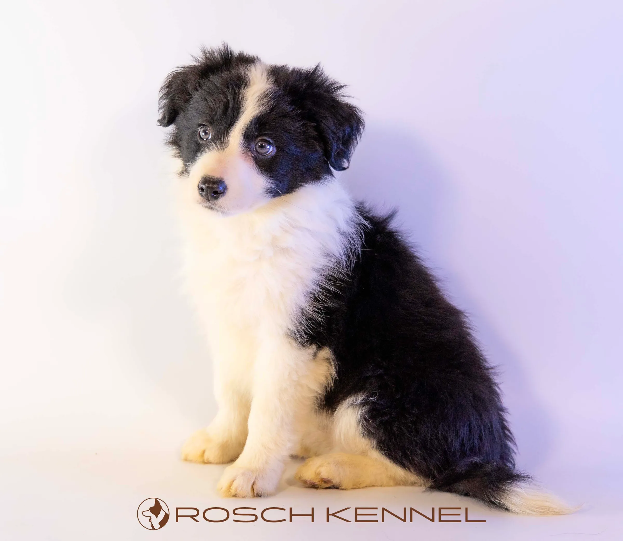 CNE305CPR - Photo 20