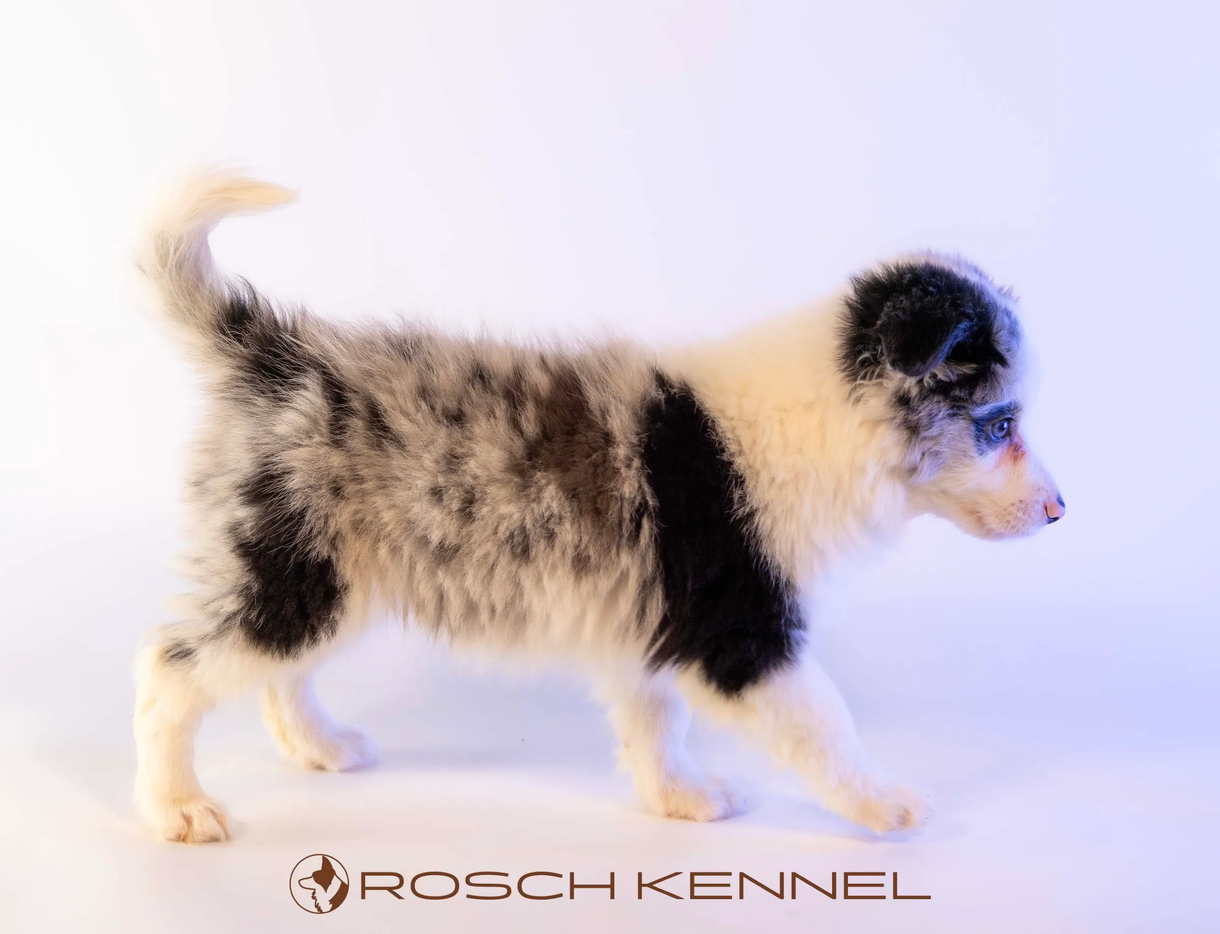 CNE304CPR - Photo 20