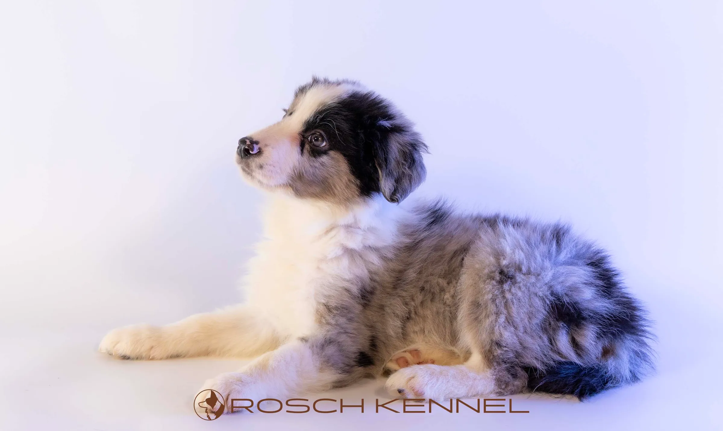 CNE302CPR - Photo 21