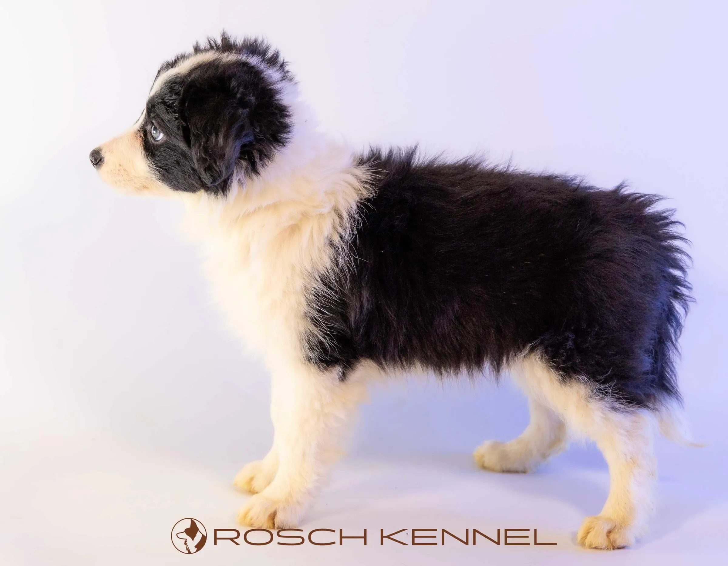 CNE305CPR - Photo 21