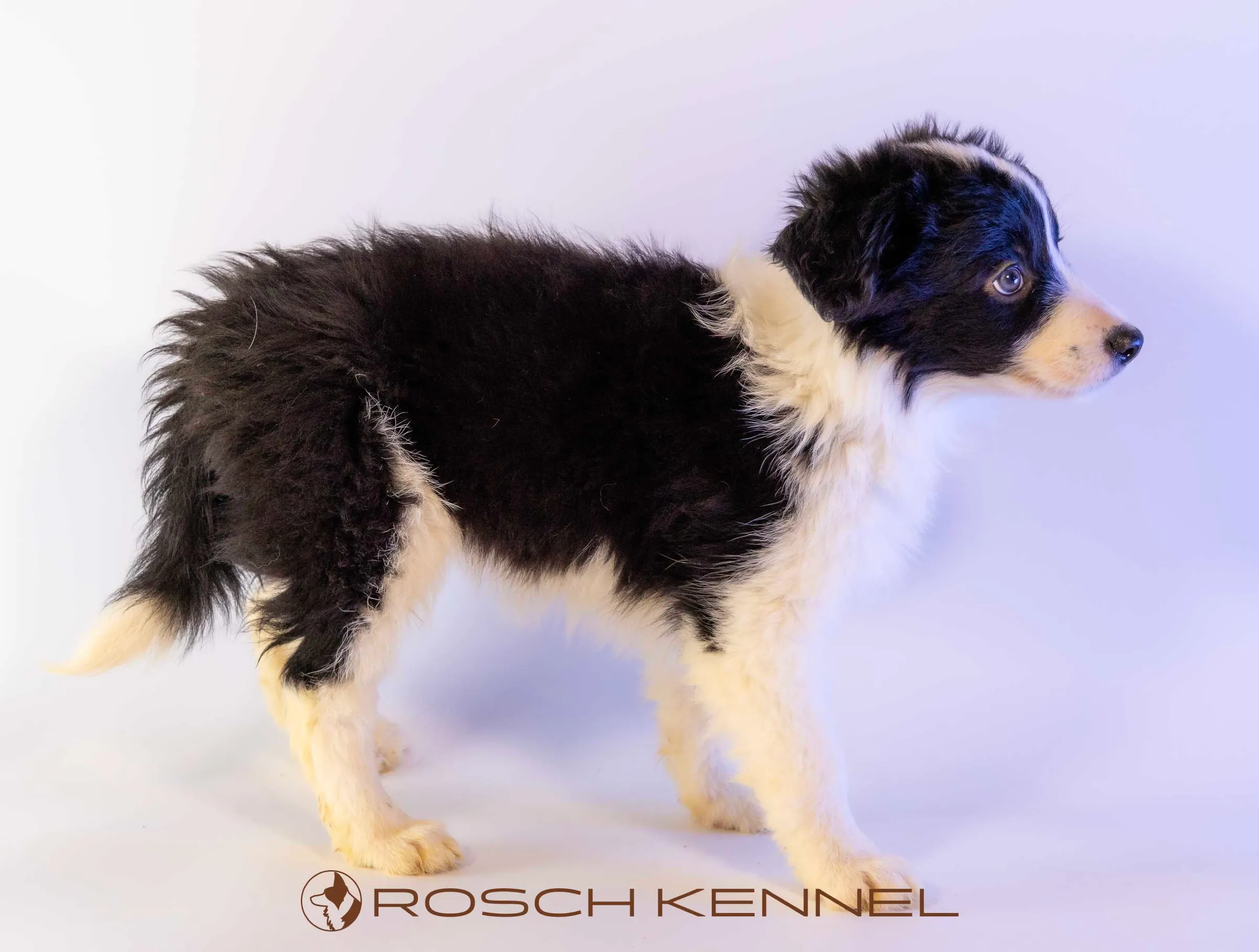 CNE305CPR - Photo 23