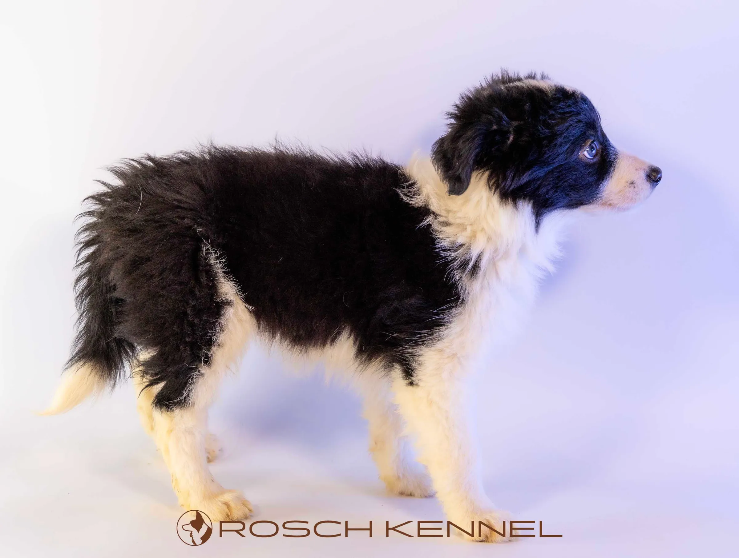 CNE305CPR - Photo 24